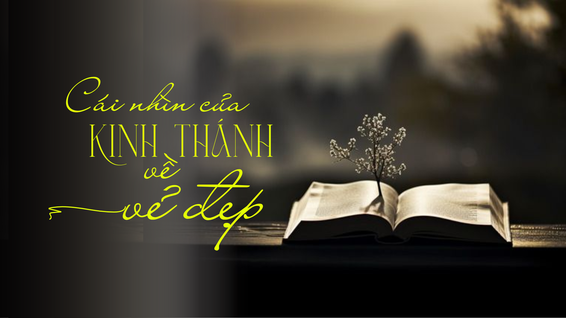 Cái nhìn của Kinh Thánh về vẻ đẹp